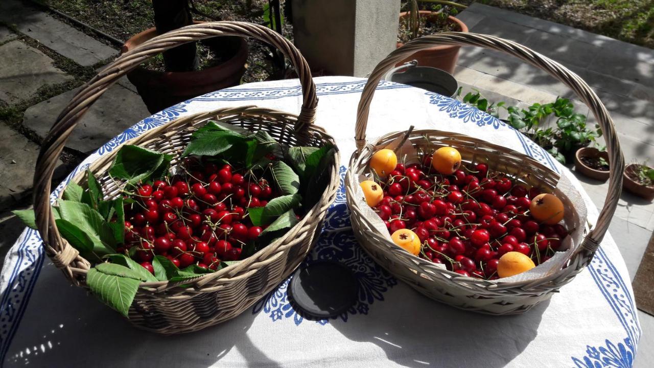 The Italian Riviera Bed & Breakfast San Salvatore  Ngoại thất bức ảnh